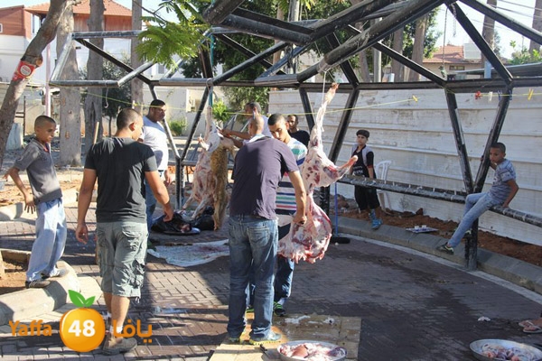 dabe7 ludj31 (5).JPG